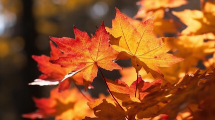 Naklejka na ściany i meble Maple leaves in autumn colors, close-up, Selective focus, Generative AI