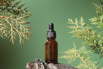 Glass dropper bottle with cosmetic oil, essential or serum on green background with thuja branches. Cosmetics with natural ingredients. Herbal homeopathic products