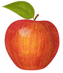 red apple with leaf hand drawn illustration isolated on transparent background