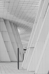 Obraz premium stairs to the sky