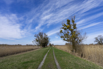 path in the countryside