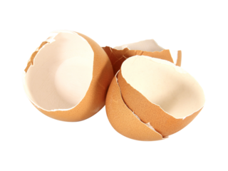 egg shells isolated on white background.