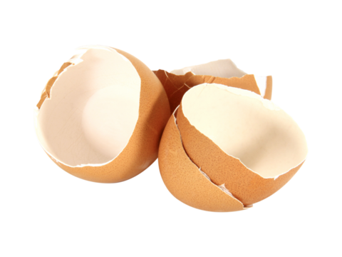 egg shells isolated on white background.