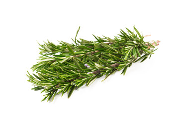 Rosemary isolated on white background. Fresh spice herbs. Seasoning for meat and fish. Recipe.