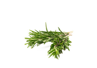 Rosemary isolated on white background. Fresh spice herbs. Seasoning for meat and fish. Recipe.