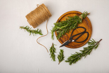 Rosemary and retro scissors in a wooden plate on a white textural background. Fresh spice herbs. Seasoning for meat and fish. Recipe. Organic bouquet of fresh rosemary on the table. Place for text.