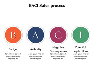BACI Sales Process - Budget, Authority, Negative Consequences, Potential Implications. Infographic template with icons and description placeholder
