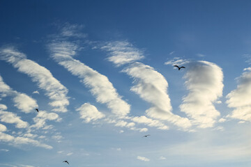 An unusual cloud formation on a summer day.