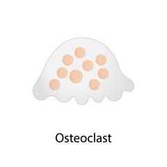 Osteoclast cell, multinucleated giant cell derived from hematopoietic stem cells. Types of Bone Cells, Vector illustration. 