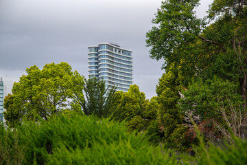 Obraz premium 鮮やかな緑になった樹木と都市風景