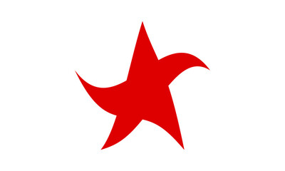 Star logo graphic design template vector image