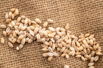 Organic pearl barley on jute cloth, close-up, top view.
