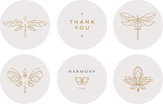 linear transparent template logo symbols with luxury dragonfly on a nude background for social networks