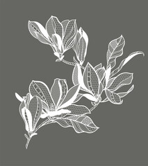 lace flower magnolia, bouquet, vector illustration