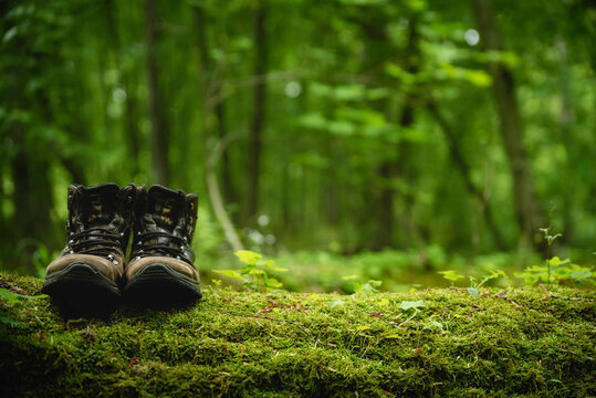 Pair of leather brown trekking shoes on blurred background of green forest. Close up of hiking boots on wood log covered with moss. Outdoor adventure concept