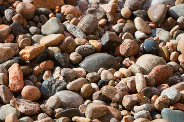 Pebbles wet sea pebble. Multicolored natural background. Structure from a motley sea pebble, stone texture, close capture on stone.