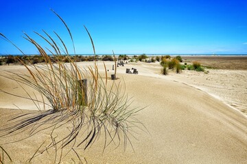 Dunes de sable sur la côte