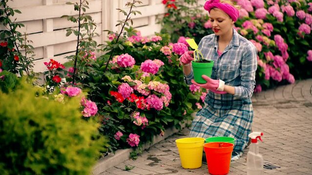Gardening ib backyard. Cheerful blond woman planting flowers in garden.