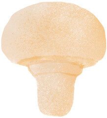 mushroom watercolor png