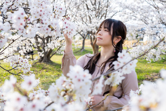 桜を楽しむ女性