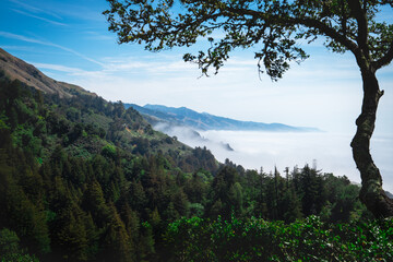 California Coastline
