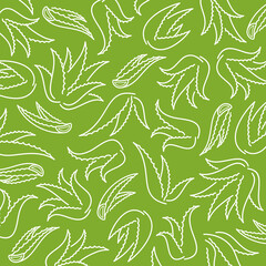 Aloe Vera pattern background set. Isolated Aloe Vera set. Vector