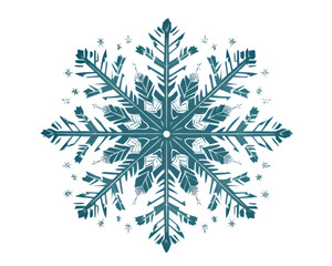 Snowflake on a white background. Vector illustration