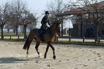 show jumping lessons