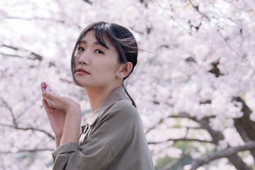 桜に願い事をする女性５