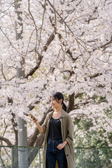 Fototapeta na wymiar 桜の木の下で女性ポートレート９