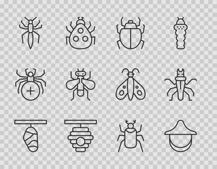 Set line Butterfly cocoon, Beekeeper hat, Mite, Hive for bees, Spider, Insect, Beetle bug and Termite icon. Vector