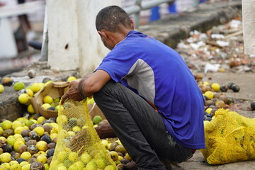 Needy person looking for still edible fruit. Manaus - Amazonas, Brazil.