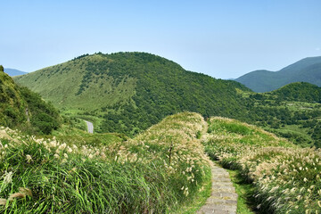 View from Mt. Qixing Trail in Yangmingshan National Park, Taiwan