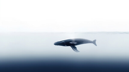 Fototapeta premium animal on the white Background a Whale generative ai