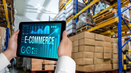 E-commerce data software provide modish dashboard for sale analysis to the online retail business