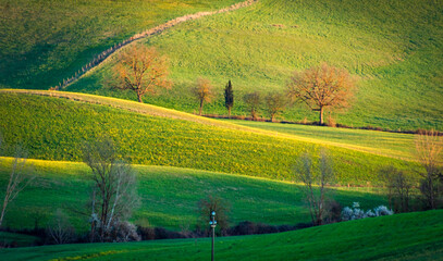 Fototapeta premium L'ultima luce.....