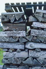 cutted firewood stacked in garden