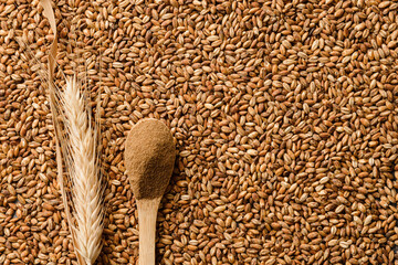 Barley powder in spoon, ears of barley and roasted beans as background. Alternative organic instant...