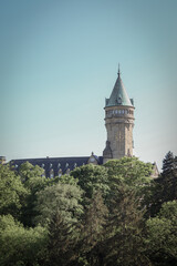 Fototapeta na wymiar Castle with a tower with a forest in front