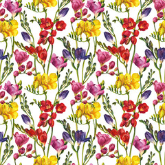 Watercolor flowers. Freesia pattern on a white background