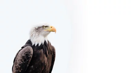 Foto op Plexiglas animal on the white Background a Eagle generative ai © Sergey