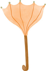 Umbrella watercolor png