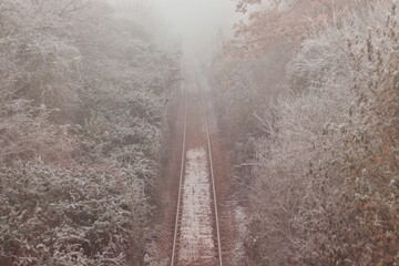 Snowed railway surrounded by snowed trees seen from the high