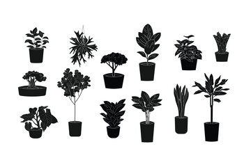 Set of silhouette pot plants icons on white