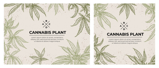 A set of botanical templates. Leaves on eco background. Hemp twigs in line art style, engraving