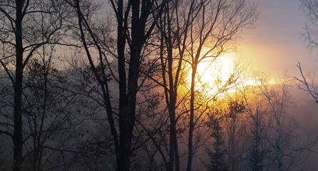 Fototapeta na wymiar Sunrise above the mountains through the trees