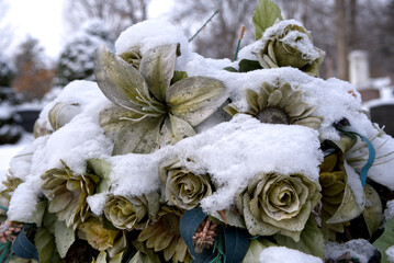Fleurs mortes gelées par le froid et la neige