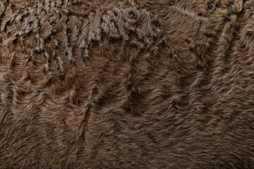 close up of fur texture