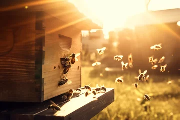 Fotobehang A swarm of bees flying around the hive after a day of collecting nectar from flowers against the setting sun, golden hour. The concept of beekeeping and keeping bees. Generative ai © Lukas Juszczak