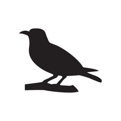 branch silhouette bird a nice pj